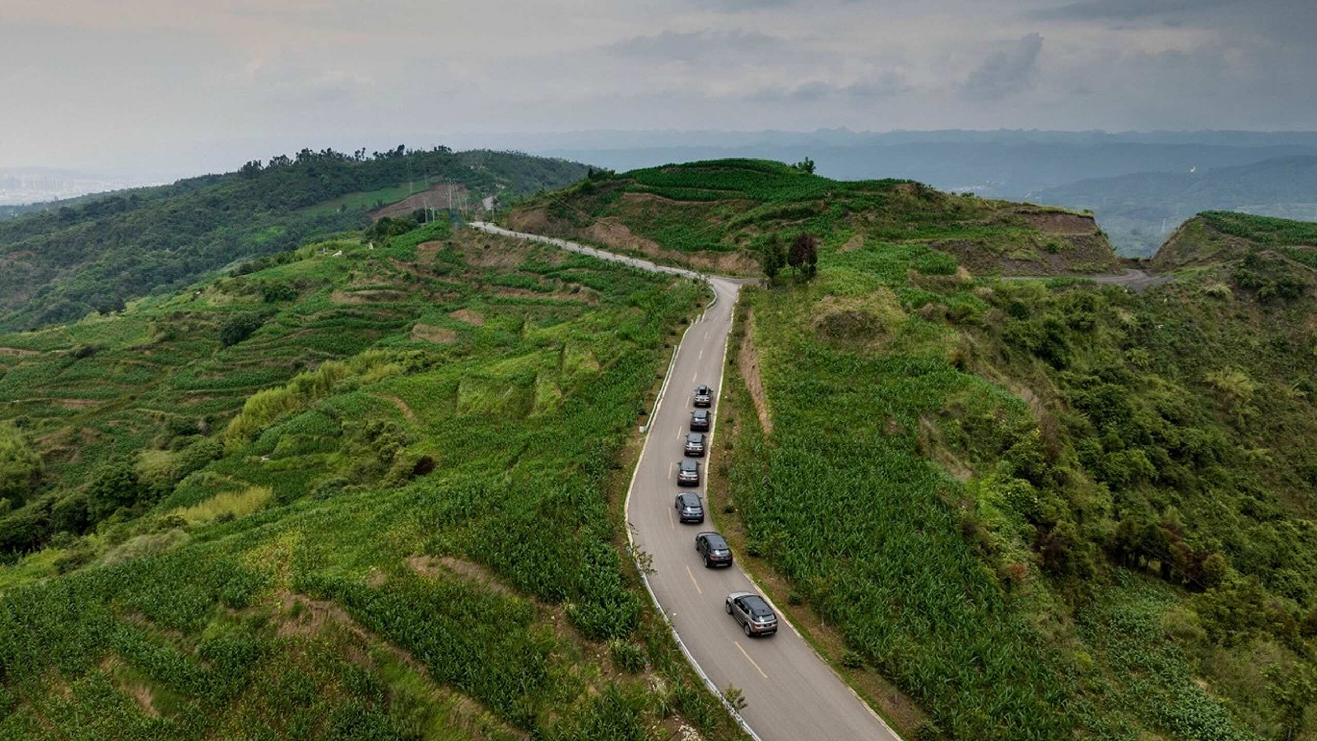 Discovery Sport fleet on road