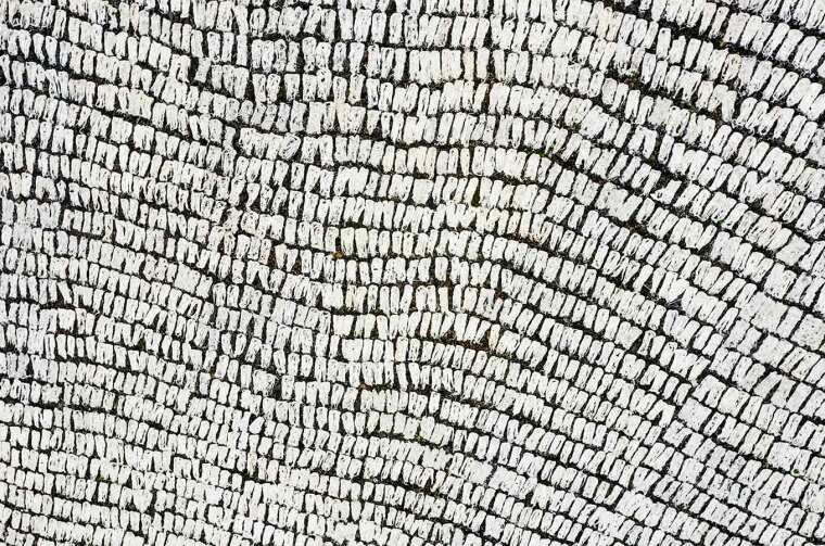 Aerial view of rice paper drying
