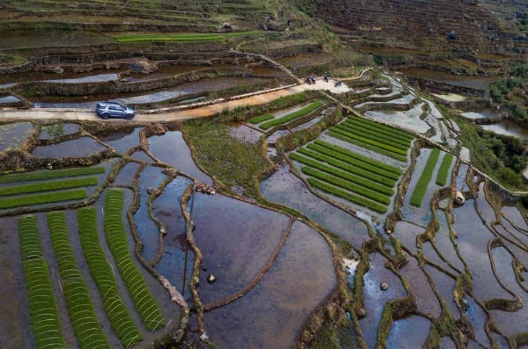 Aerial view of terraced fields