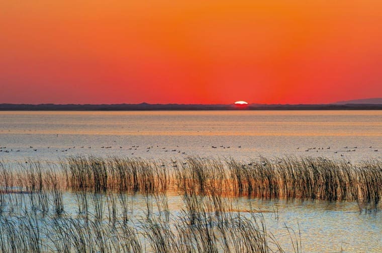 Lake at sunset landscape