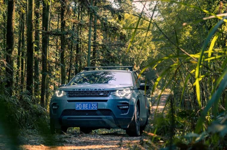 Land Rover Discovery driving through forest