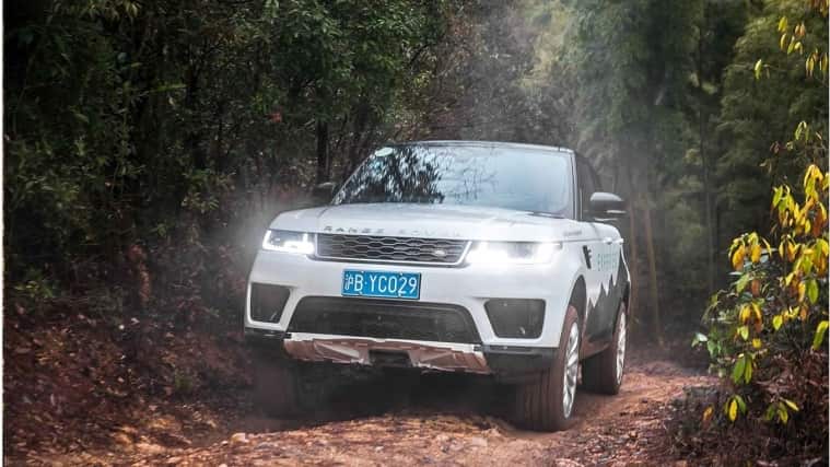Range Rover driving through forest