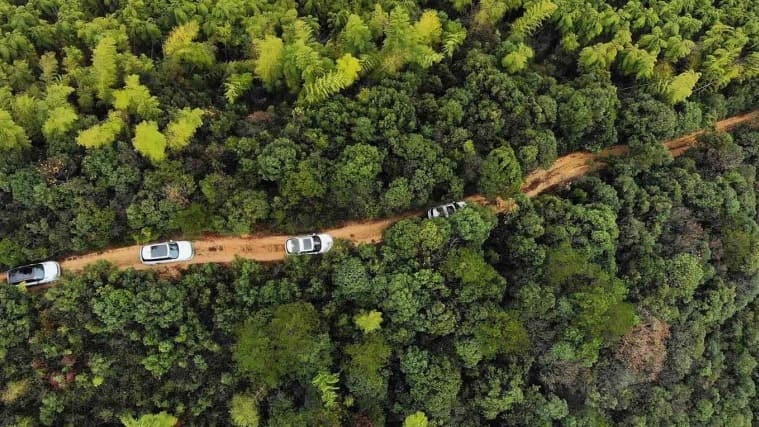 Aerial view of Land Rover vehicles driving through forest