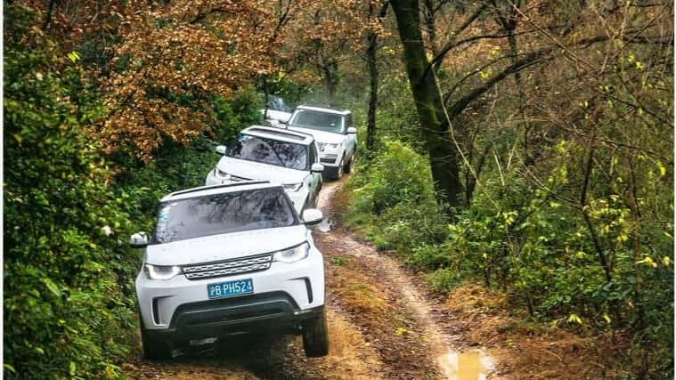 Land Rover vehicles driving through forest