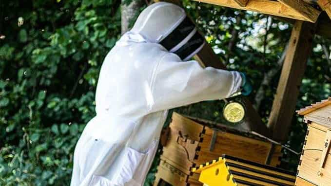Bee Farm At Jaguar Land Rover Solihull Plant Harvests First Honey