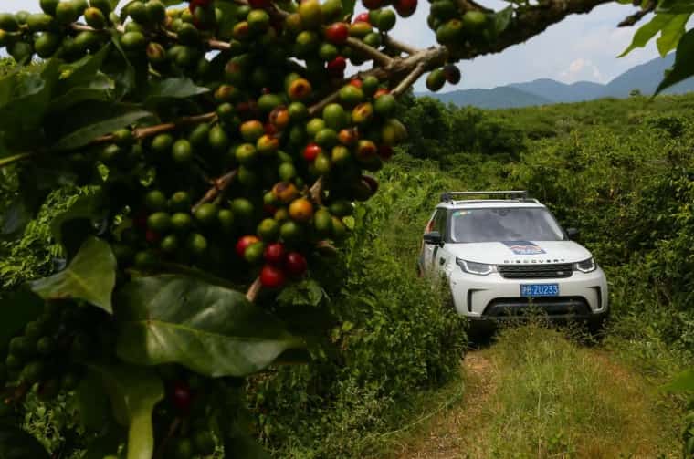 Land Rover Discovery driving through Lujiangba Small Grain Coffee Garden